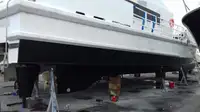 Catamarano in vendita