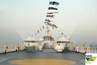 Nave Ro-Ro in vendita