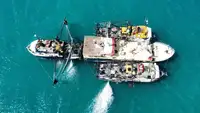 Nave di supporto in vendita