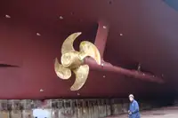 Nave da crociera in vendita