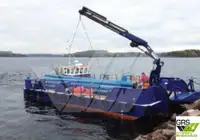Barche da lavoro in vendita