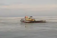 Rimorchiatore in vendita