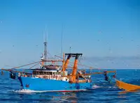 Trawler in vendita