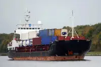 Trasportatore di merci sfuse in vendita