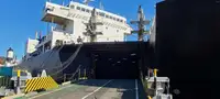 Nave Ro-Ro in vendita