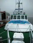 Pilota in vendita