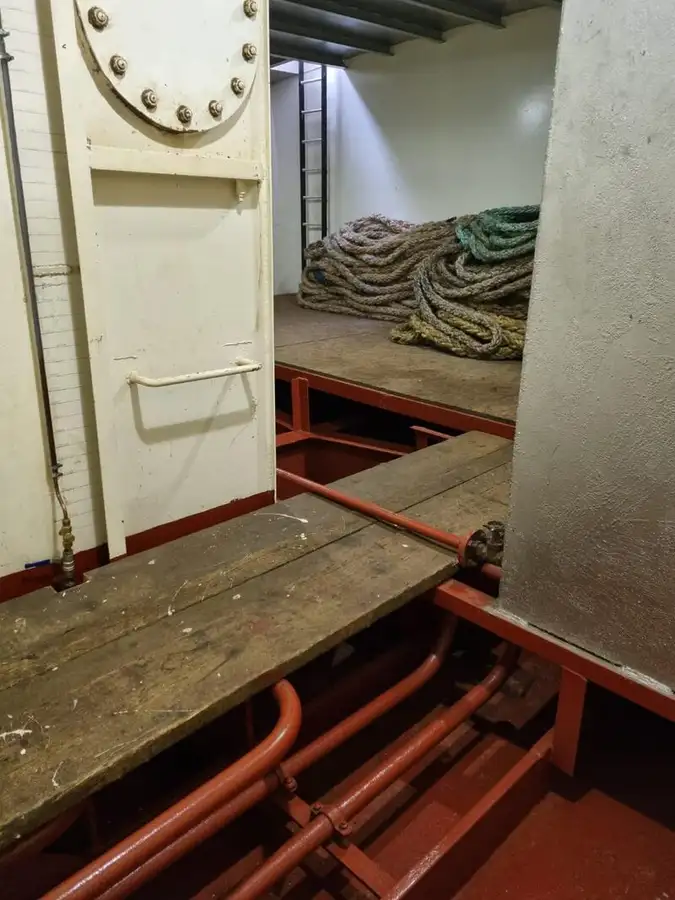 Nave da crociera in vendita
