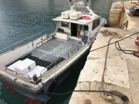 Trasportatore di merci sfuse in vendita