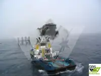 Rimorchiatore in vendita