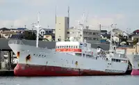 Trawler in vendita
