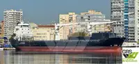 Trasportatore di merci sfuse in vendita