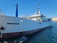 Longliner in vendita
