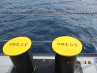 Nave refrigerata in vendita