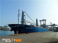 Trasportatore di merci sfuse in vendita