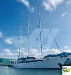 Nave da crociera in vendita