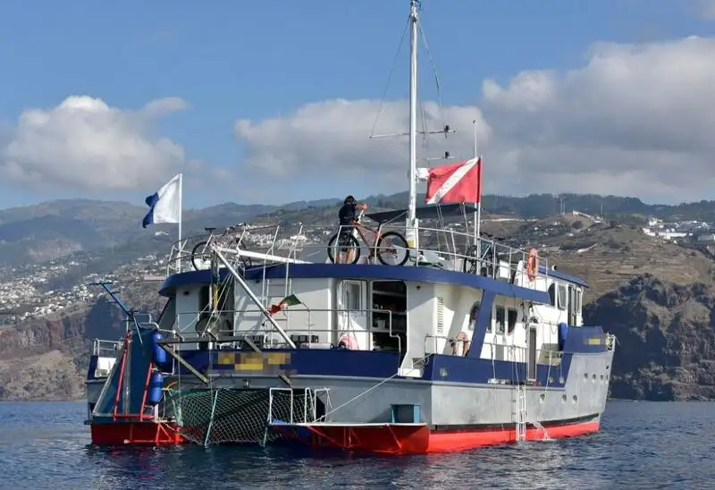 Rimorchiatore in vendita