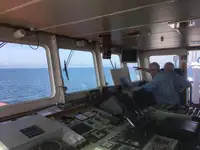 Trasportatore di merci sfuse in vendita