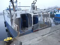 Trasportatore di pesce vivo in vendita