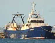 Trawler in vendita