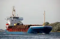 Trasportatore di merci sfuse in vendita