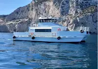Catamarano in vendita