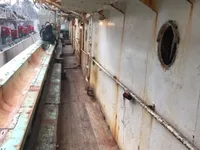 Peschereccio per calamari in vendita