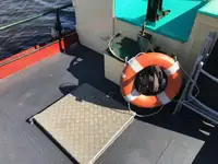 Rimorchiatore in vendita