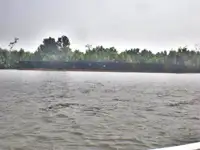 Chiatta in vendita