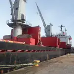 Portarinfuse in vendita