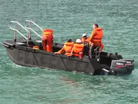 Portacontainer in vendita