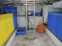 Peschereccio a strascico in vendita