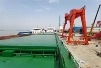 Trasportatore di merci sfuse in vendita