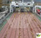 Nave Ro-Ro in vendita