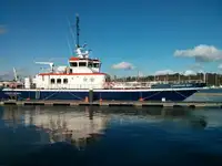 Catamarano in vendita