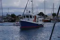 Trawler in vendita