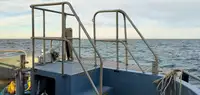Portacontainer in vendita