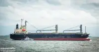 Trasportatore di merci sfuse in vendita