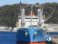 Nave refrigerata in vendita