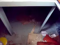 Rimorchiatore in vendita