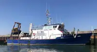 Imbarcazioni da lavoro in vendita