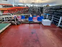 Nave da crociera in vendita