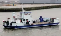 Barche da lavoro in vendita