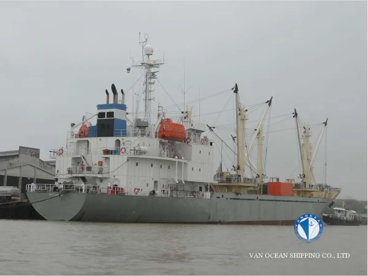 Nave refrigerata in vendita