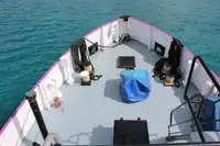 General Cargo/Multi-purpose in vendita