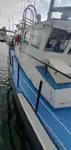 Portacontainer in vendita