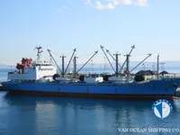 Nave refrigerata in vendita