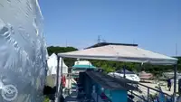 Portacontainer in vendita