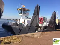 Barche da lavoro in vendita