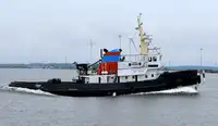 Rimorchiatore in vendita