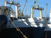 Peschereccio a strascico in vendita